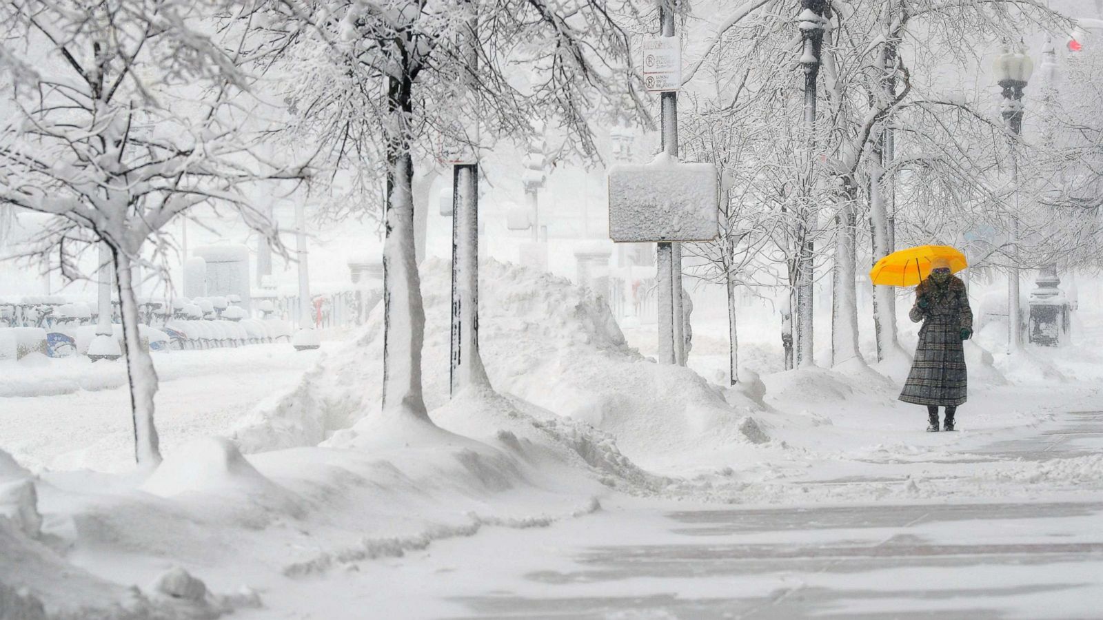 Nor'easter