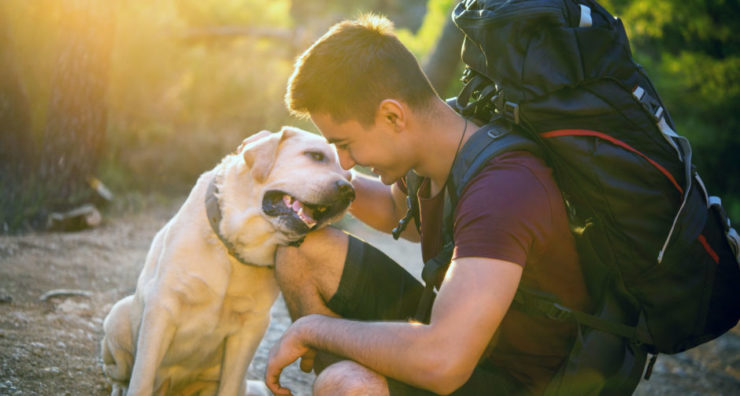 hiking-with-dogs