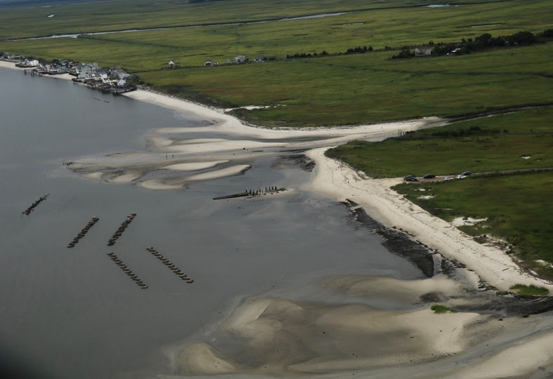 Littoral Society