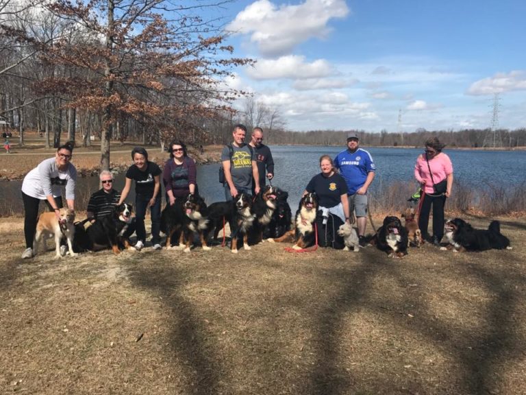 Walking with the Fur Babies