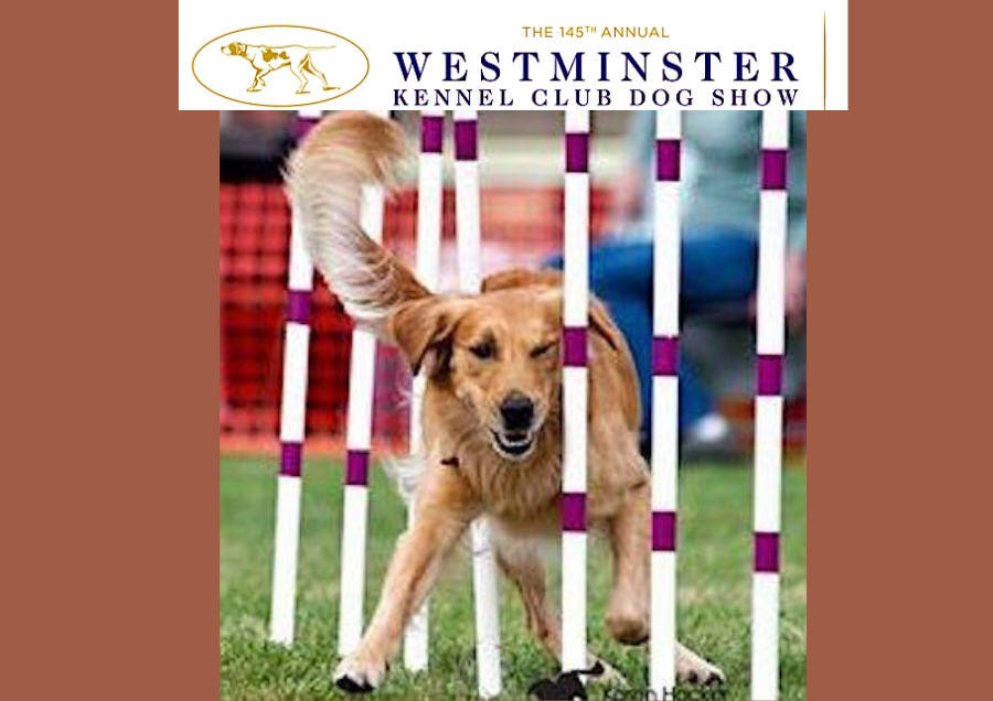 westminster