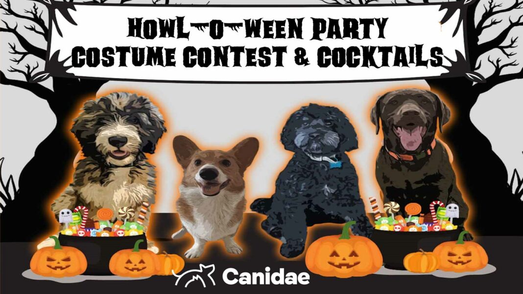 Howl O Ween