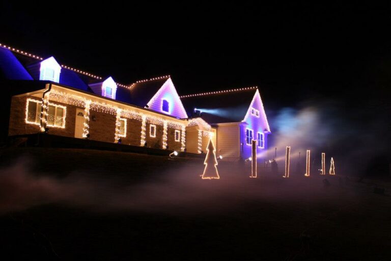 The Christmas Light Show 2021