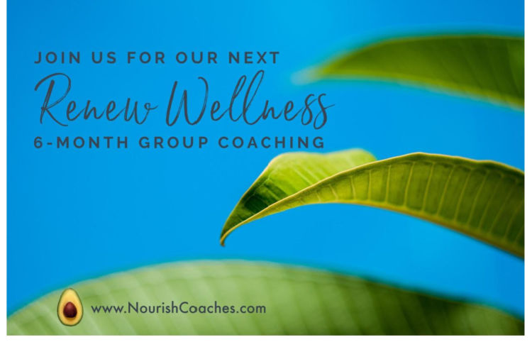 Renew Wellness 6 Month Health and Wellness Group