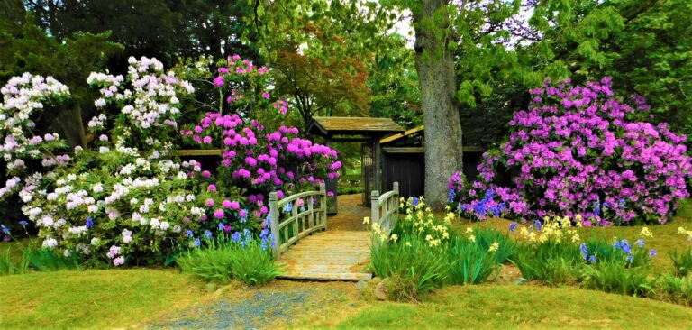 Peto Presents: New Jersey Gardens: 1719 to the Present