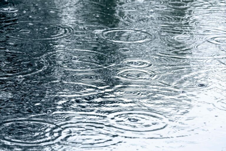 Rain Barrel Workshop