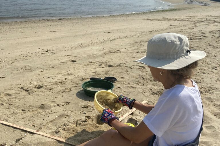 Microplastic Monitoring Volunteers Needed