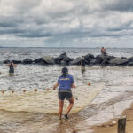 seining
