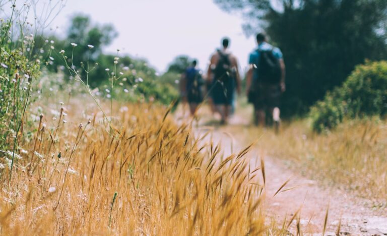 Gratitude Walk with Waterspirit