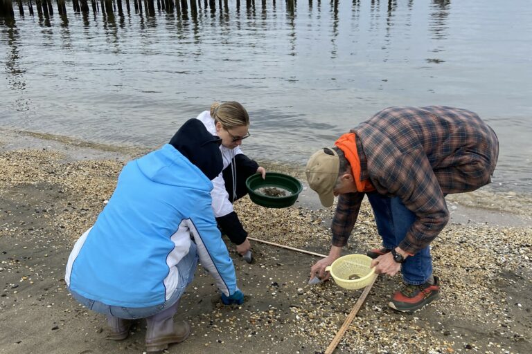 Microplastic Monitoring with Waterspirit